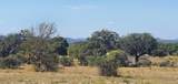 Tract 6 Lehne Loop - Photo 15