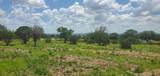 Tract 6 Lehne Loop - Photo 16