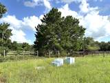 TBD Homestead Cir - Photo 7