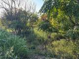 4401 Trimmier Rd - Photo 14