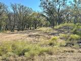 261 County Road 120 - Photo 11