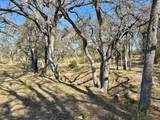 261 County Road 120 - Photo 8