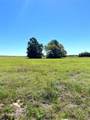 2654 County Road 329 - Photo 16