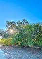 6052 Tenney Creek Rd - Photo 3