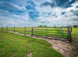 877 County Road 455 - Photo 36