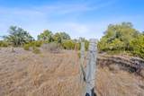 100 Dario Dr - Photo 19