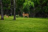 335 Turkey Tree Rd - Photo 32