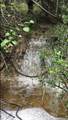 22303 Honeycomb Ln - Photo 33