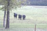 1742 County Road 413 - Photo 9