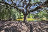 3995 County Road 405 - Photo 34