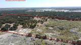 2251 County Road 234 Ln - Photo 12