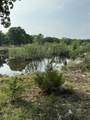 2251 County Road 234 Ln - Photo 3