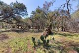 22000 Mockingbird St - Photo 4