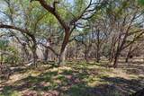 22000 Mockingbird St - Photo 9