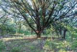 TBD Crabapple Rd - Photo 10