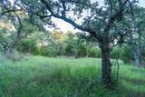 TBD Crabapple Rd - Photo 13