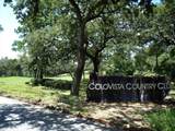 262 Colovista Pkwy - Photo 9