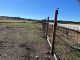 1300 County Road 217 - Photo 10