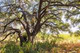 38 County Road 550 - Photo 5