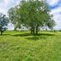 14520 Bois D Arc Ln - Photo 13