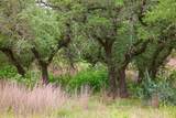292 Scenic Hills Ct - Photo 10