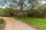 1306 Thousand Oaks Loop - Photo 8