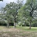 3873 Fm 1624 - Photo 34