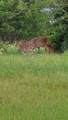 3873 Fm 1624 - Photo 35
