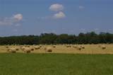 2464 County Road 249 - Photo 29