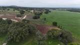 576 Young Ranch Rd - Photo 7