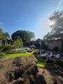 1304 Mariposa Dr - Photo 19