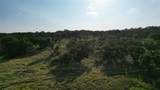 7819 Ranch To Market Road 2766 Rnch - Photo 14