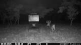 7819 Ranch To Market Road 2766 Rnch - Photo 19