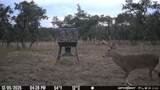 7819 Ranch To Market Road 2766 Rnch - Photo 20