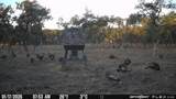 7819 Ranch To Market Road 2766 Rnch - Photo 21