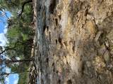 23644 Nameless Rd - Photo 31