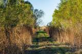 3191 County Road 463 - Photo 7