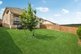 8119 Purple Aster Pass - Photo 18