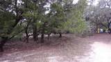 Lot 46 Mountain Wood - Photo 1