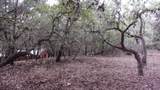 Lot 46 Mountain Wood - Photo 4