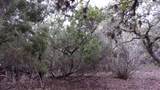 Lot 46 Mountain Wood - Photo 5