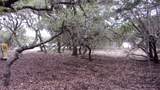 Lot 46 Mountain Wood - Photo 6
