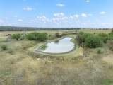 4025 County Road 284 - Photo 4