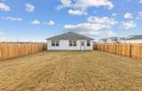 113 Lindheimer Ln - Photo 18