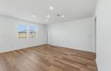 113 Lindheimer Ln - Photo 8