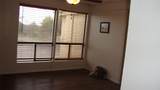 5804 Circulo Dr - Photo 13
