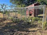 4601 County Road 202 - Photo 40