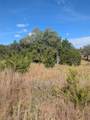201 Springlake Dr - Photo 5