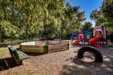 1707 Lipan Trl - Photo 17