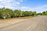 1707 Lipan Trl - Photo 4